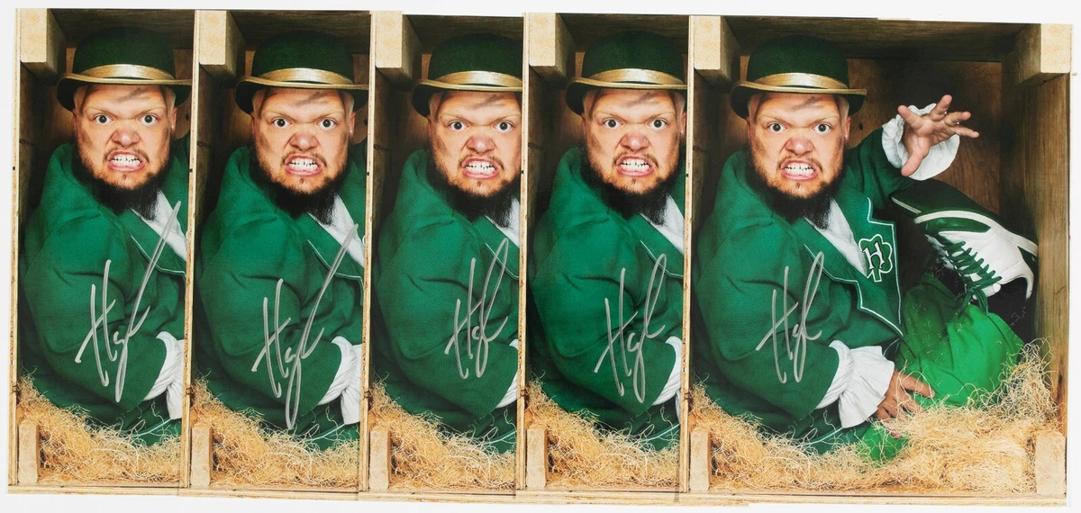 Hornswoggle Leprechaun Makeup Saubhaya Makeup