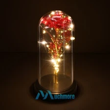 Gift Rose in Glass Dome with LED Fairy String Lights Flower Table Lamp Wedding