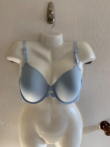 NEU MIT ETIKETT WARNERS SIMPLY PERFECT T-SHIRT BH VERSTELLBAR 38D BÜGEL HELL GEFÜTTERT BLAU
