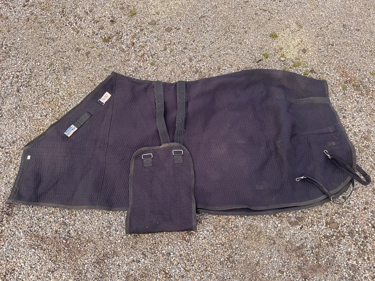 Schneiders Horse Wear & Equipment for sale | eBay