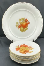 6pc Winterling Bavaria Germany Fruit & Nut Collector Plates (5) 7.5" & (1) 12"