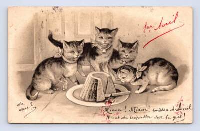 Cats Eating Cake ''Miaou! Miauo!'' Antique French Postcard Cover Bordeaux 1904