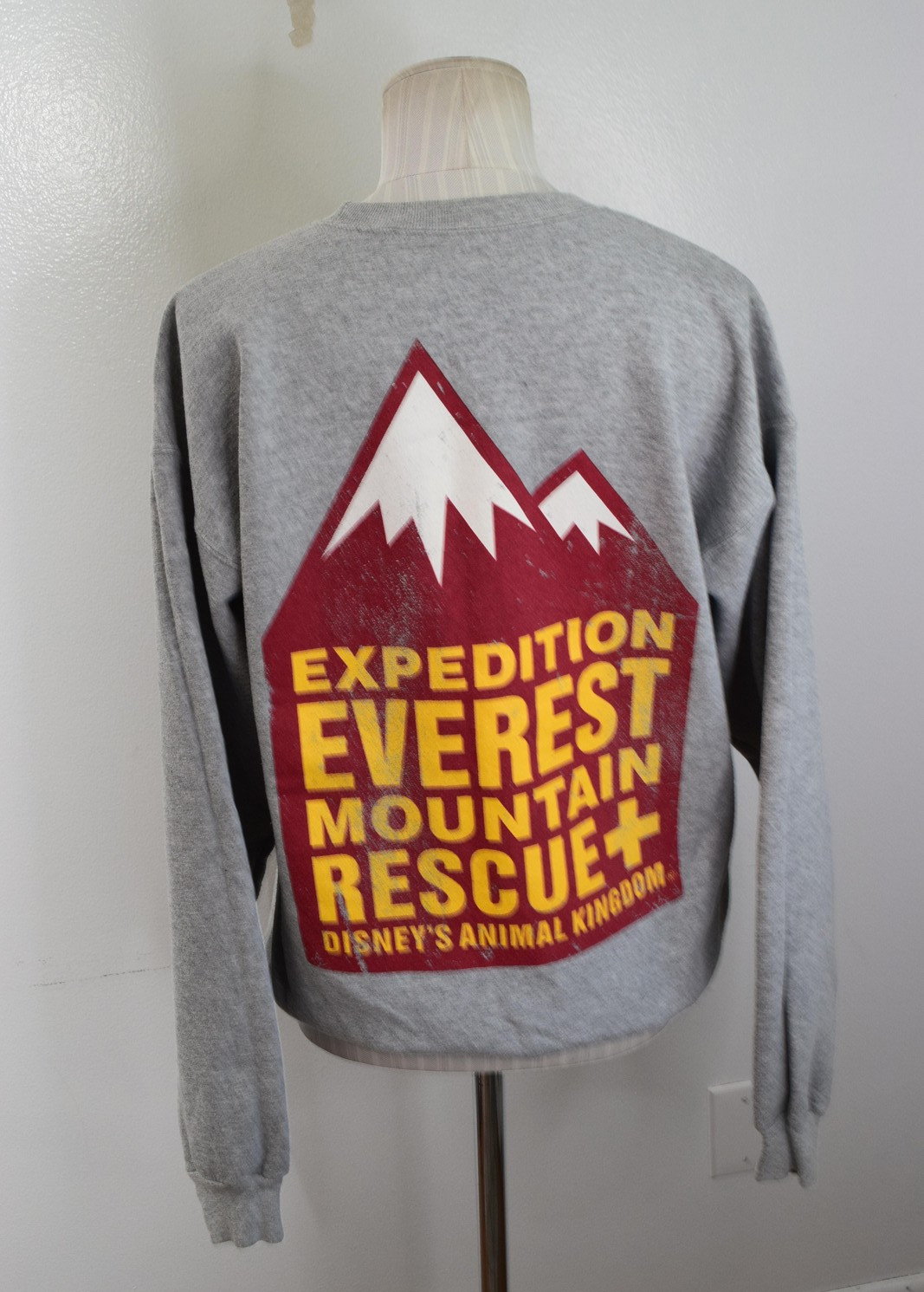 Disney Parks Everest Mountain Rescue Sweatshirt Mens Medium 