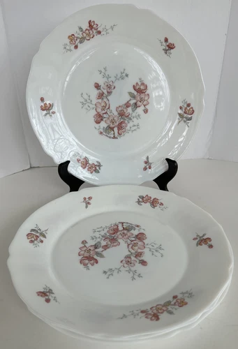 Lot 4 Arcopal ARC France Florentine Cherry Blossom 10" Dinner Plates 1990s Vtg