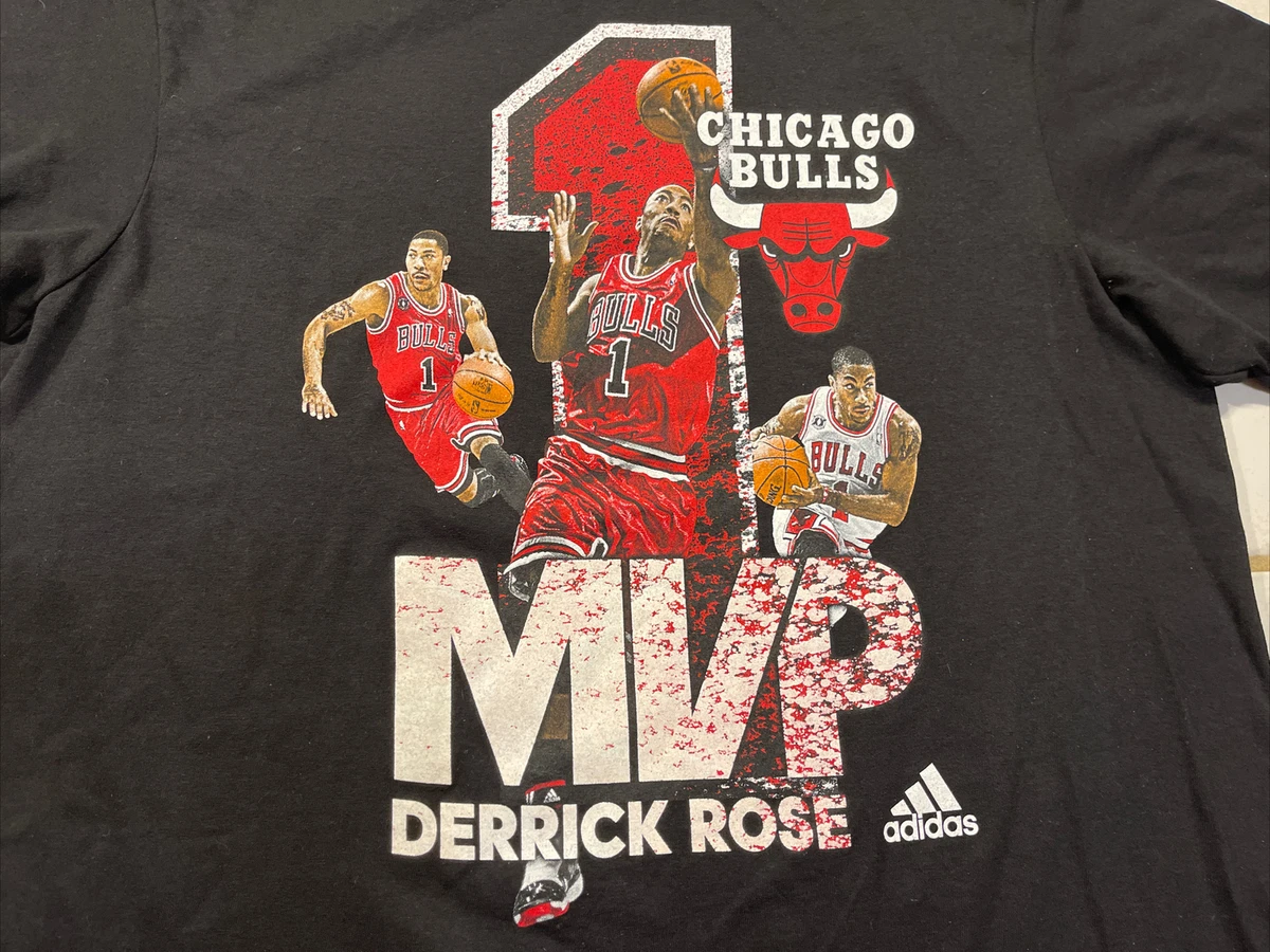 Derrick Rose Mvp Chicago Basketball Signature Vintage Retro Unisex T-Shirt  - Teeruto