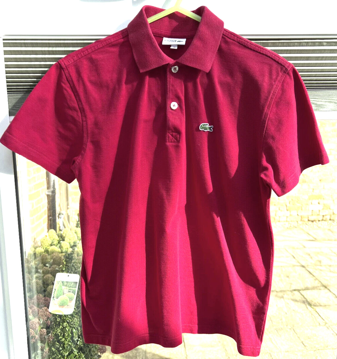 Lacoste size 16 deals