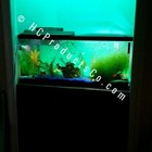 Picture 10 of 10