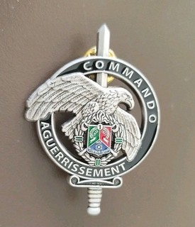 Brevet Commando aguerrissement Légion Étrangère 1°REC Cavalerie