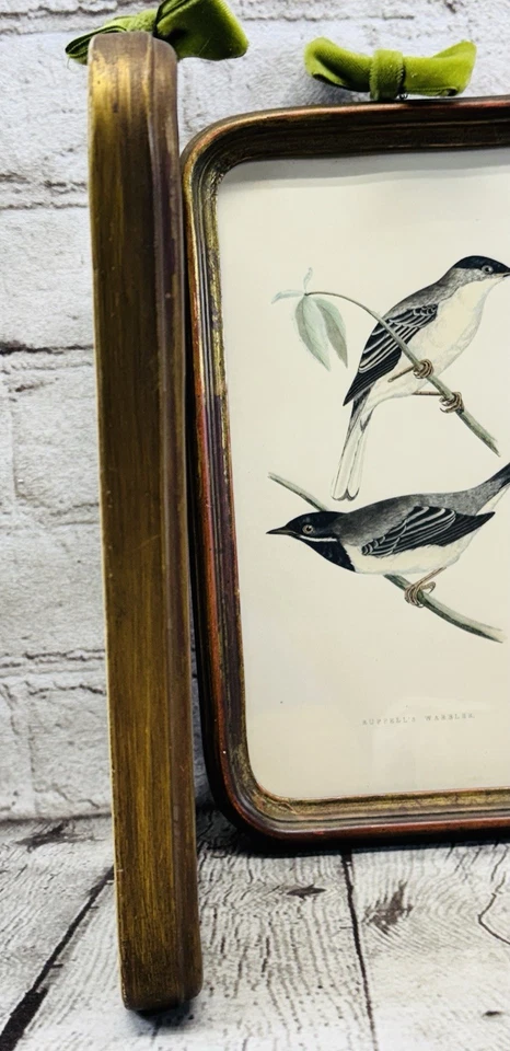 Vintage Framed Bird Prints Grosbeak & Warbler Set 10x6.25” Ornithology Art - Image 2 of 4