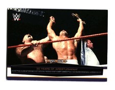 2014 Topps WWE Road to Wrestlemania Ricky 