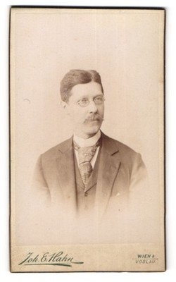 Fotografie Joh. E. Hahn, Wien, Mariahilferstr. 105, Portrait Herr mit Schnauzba 