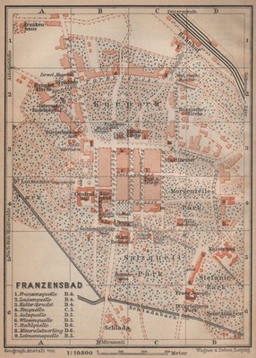 FRANZENSKOVY LAZNE (FRANZENSBAD) Stadtplan Mesta. Tschechien 1905 Karte