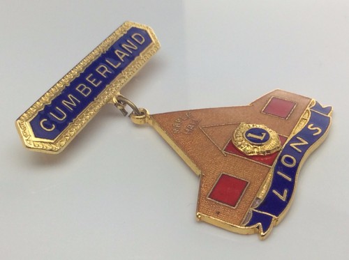 Cumberland Ontario Vintage Lions Club Maple Hall Canada Pin B904 - Picture 4 of 8