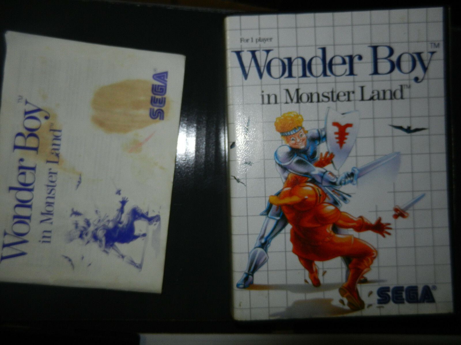 Wonder Boy in monster land sega master system complet