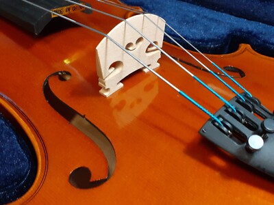 PLJBL - True Intermediate Viola #D 15,5'' perfekter Flugstart, zweites Instrument