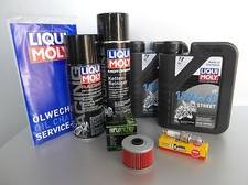 Manutenzione - Kit Quad Explorer Trasher 520 per ispezione con filtro olio, olio e 