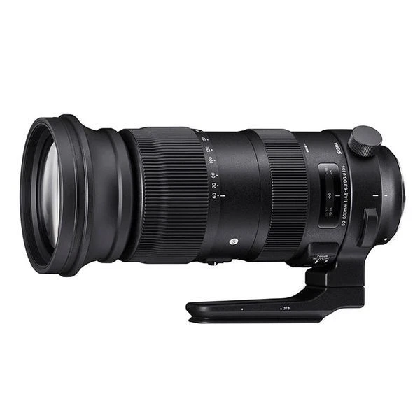 Sigma 60-600mm Focal Camera Lenses for sale | eBay