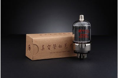 6146B ShuGuang / Single One / HIFI / Vacuum Tube / Valve Amplifier DIY