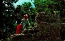 Hilton Head Island SC Sea Pines Plantation Company Postcard unused (18513)