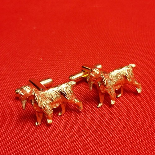 Gemelos de colección Golden Retriever para perro placa de oro laboratorio Setter irlandés perro manipulador - Imagen 6 de 10
