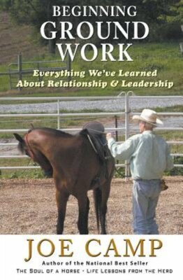Beginning Ground Work: Everything We've Learned About Relationship and by Camp