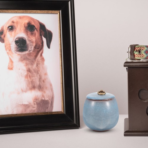 Kleine Urne Hund Tierische Haustierurnen Für Hunde Siegel - Bild 11 von 12