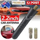 <!--F#f_0-->Antenna Aerial Stubby Bee Sting for Ford Ranger PX PX2 PX3 Wildtrak Black 5.5CM<!--F/-->