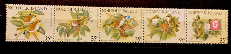 Norfolk Is,birds,silvereye S.C.#287(a-e) MNH comp. strip of 5 as issued in 1981 