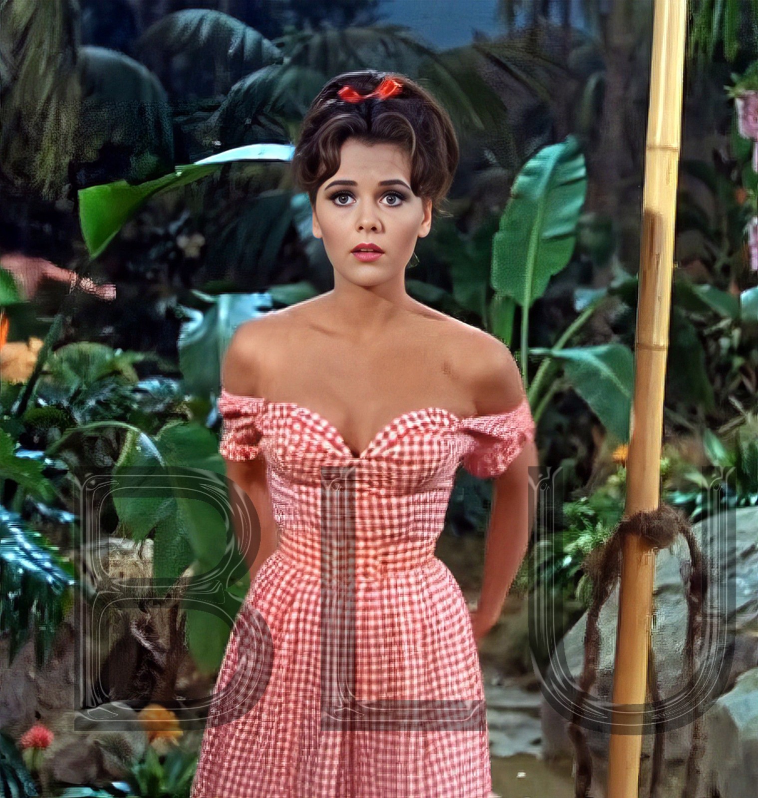 Gilligan's Island, Mary Ann 11 x 14