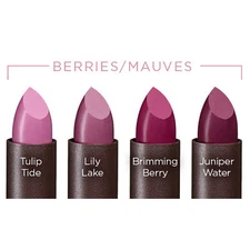 Burt's Bees 100% Natural Lipstick ~ Choose Your Shade
