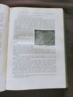 Foto 7 di 10