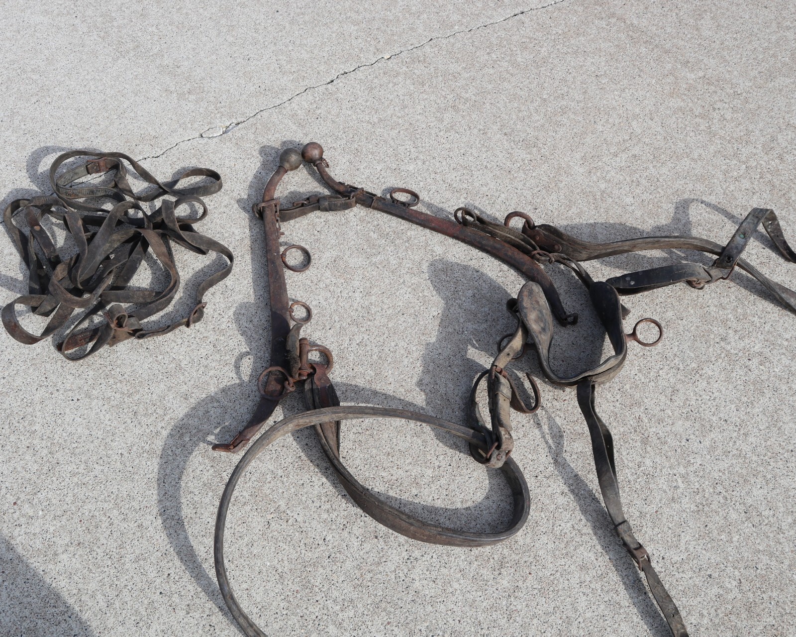 Leather Draft Horse Harness Cart Wagon eBay