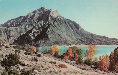 WY Cedar Mountain Wyoming Postcard L590