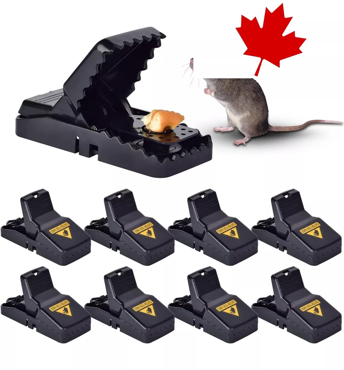 Effective Reusable Mouse Traps - 8 Packs for Indoor and Outdoor Use, Small  Mi
