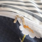 Foto 7 di 7