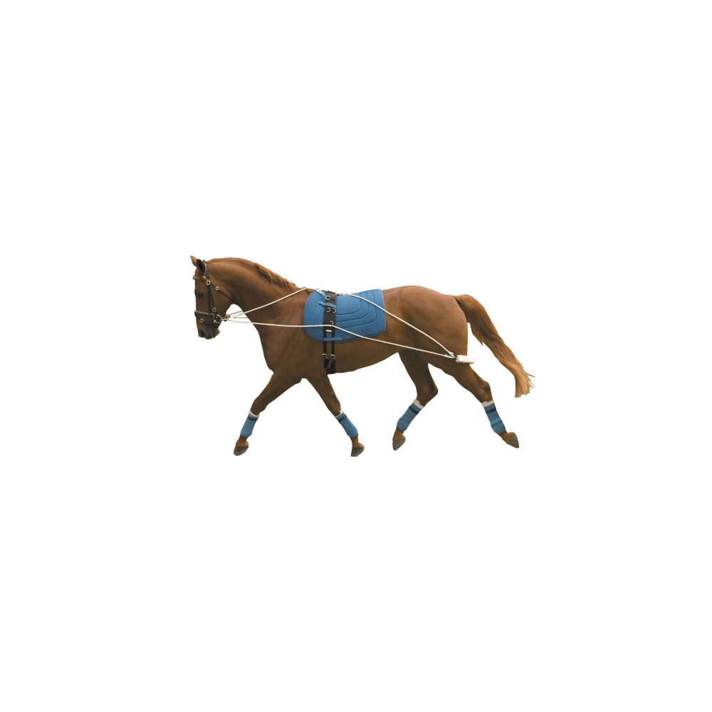 Kincade Lunging Training Aid | Equestrian Equipment
