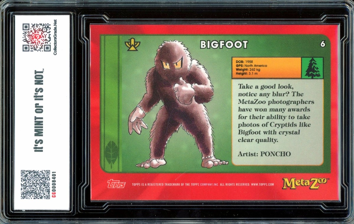 ビック フット BGS big foot ビック フット BGS big foot Amazon.co.jp: ミディアム ビッグフットザ