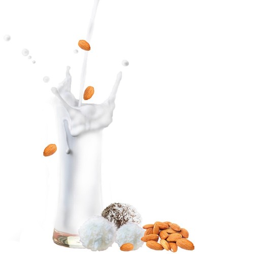 Kokosmilch Mandel Pralinen Milchshake Pulver 1000 kg
