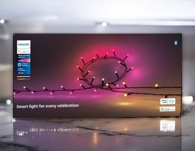 Philips Hue White & Color Ambiance Festavia Lichterkette mit 250 LEDs | ZigBee