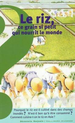 Le riz. Ce grain si petit qui nourrit... - Raphaëlle Brice - V191569