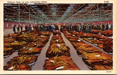 Postcard View Tobacco Sale an Ever-Interesting Scene Salesmen Vintage Linen B5
