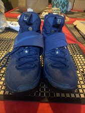 lebron james agimat shoes price