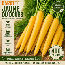 Carotte Jaune du Doubs 400 Graines / Seeds BIO