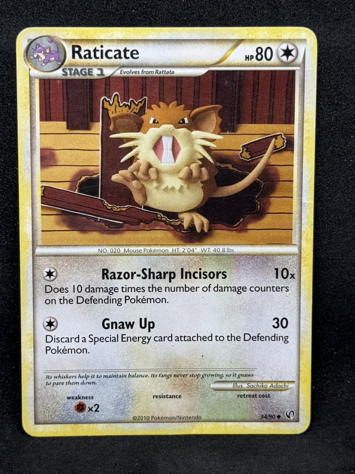 Pokemon - HGSS Undaunted - Raticate 34/90 Uncommon