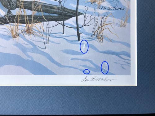 “Jay Talk" SIGNED & NUMBERED PRINT by Canadian L.Butcher, Custom Mat, Unframed - Picture 13 of 17