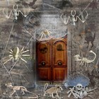 Foto 10 di 21