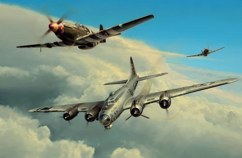 Wounded Warrior by Richard Taylor aviation art signed by Seven WW2 American Aces