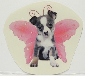 ebay chihuahua puppies