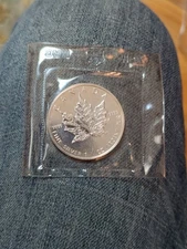 1989 1 oz $5 Canadian Silver Maple Leaf Elizabeth Coin BU Sealed RCM Plastic OGP