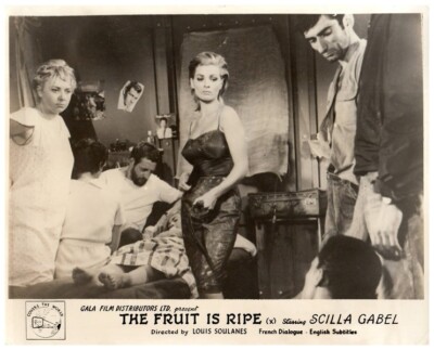 The Fruit is Ripe Original Lobby Card Scilla Gabel Busty Leggy Wiggle Dress 1961
